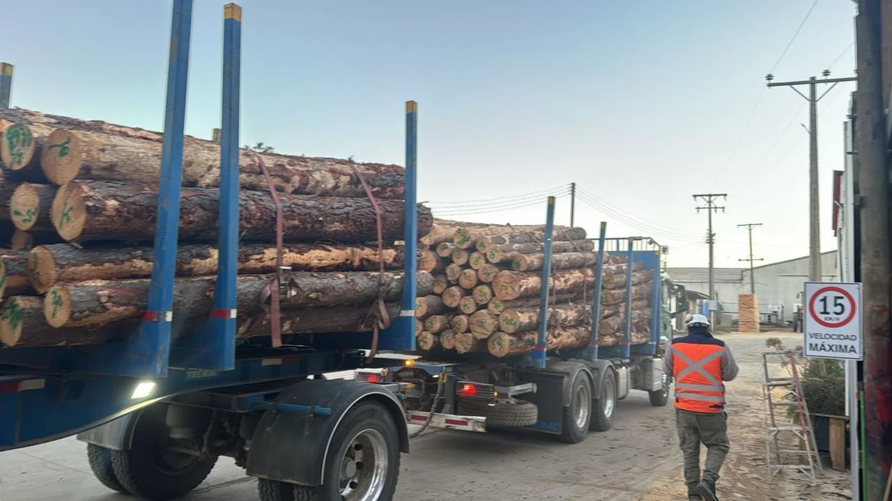 Madera 3