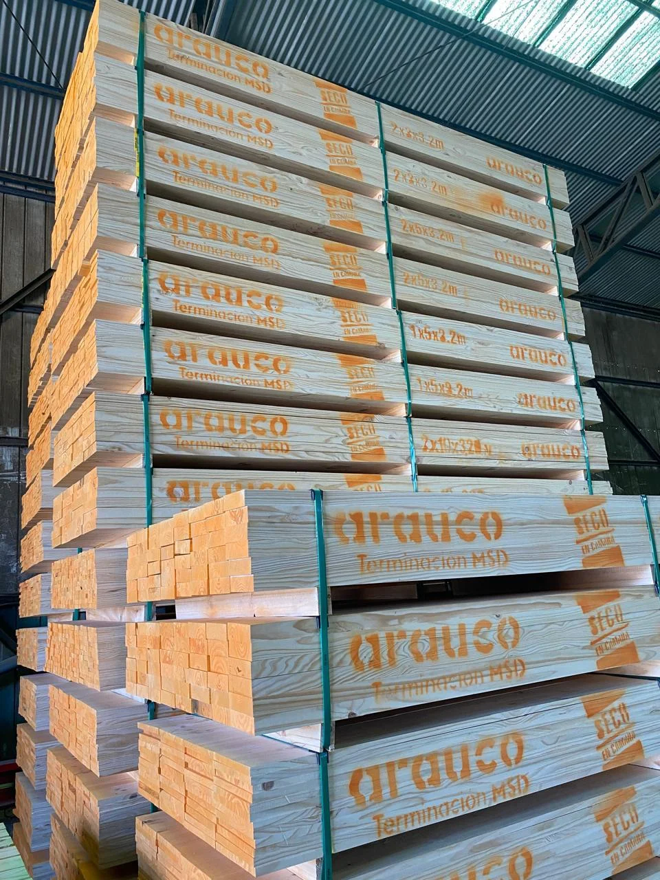 Madera 5